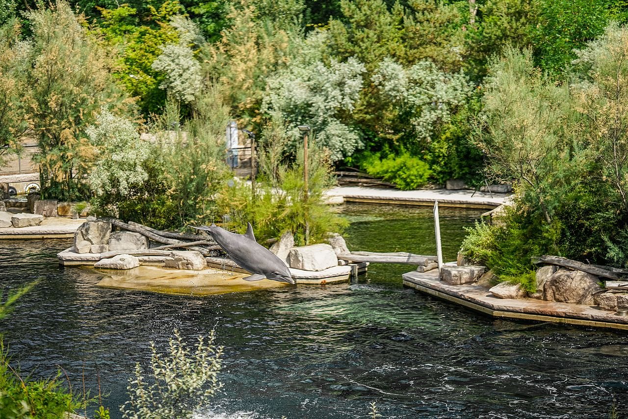 🐘 뉘른베르크 동물원 (티어가르텐 뉘른베르크)